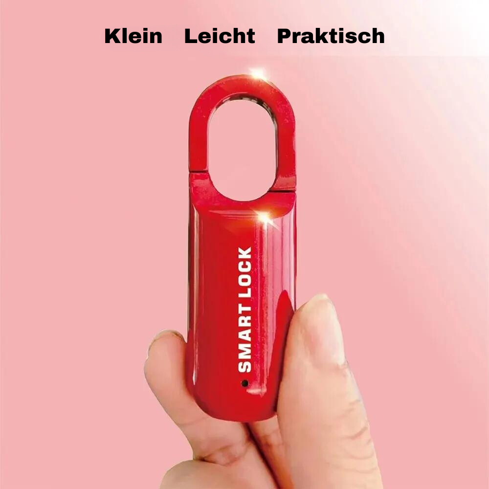 Smartlock | Lubaru