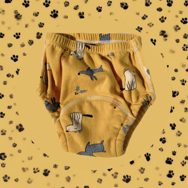 Trainy™️ | Lernunterwäsche für deinen Schatz👶